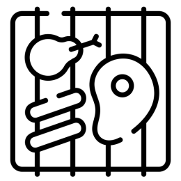 شبوك شوي