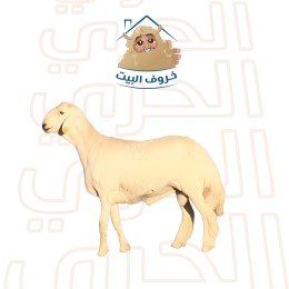 حري