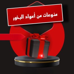 قسم العود المروكي بعلبة