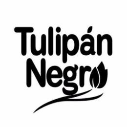 TULIPAN
