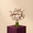 مسكات عرائس