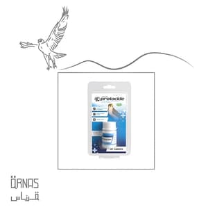 كورس  قلاع - الكنكر
