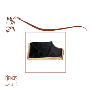 جلال زينة