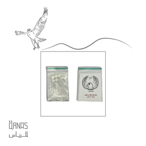كورس كوكسيديا
