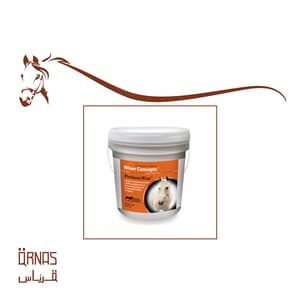 برو بايوتك وايز - probioticwise(للبكتيريا الضارة)