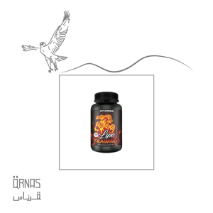 كورس- ليبو ترينينق - LIPO TRAINING (للتدريبات الشاقة)