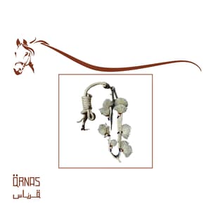 راسية جمال- بيج