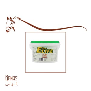 اي فور لايف - E for life(الاستشفاء بعد التمرين)