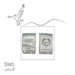 كورس ديدان