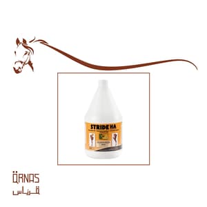 سترايد اتش أي -STRIDE HA(دعم المفاصل)