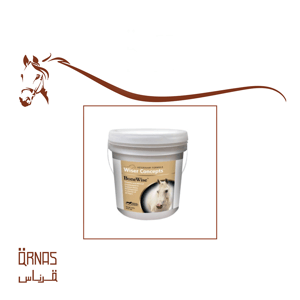بون وايز - BoneWise(تدعيم العظام)