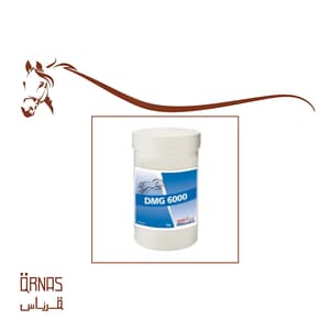 دي ام جي 6000 - DMG 6000 1kg(للسباقات والتجهيز)