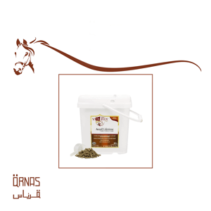 اكسال - accel(مكمل غذائي شامل)