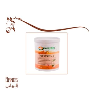 توب لاين اي - Top Lysine + E(احماض امينية للبناء العضلي)