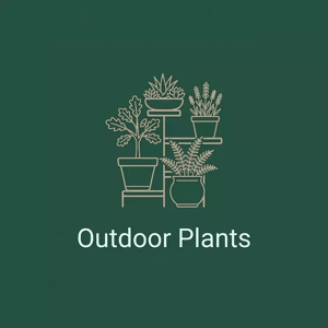 Outdoor Plants