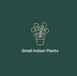 Small Plants