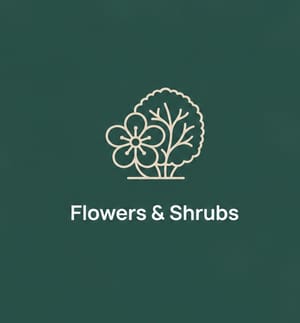 Flowers & Shrubs