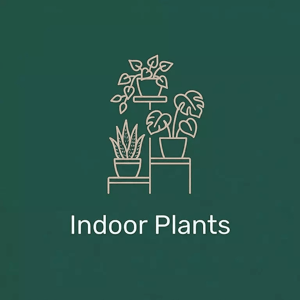 Indoor Plants