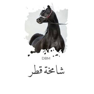 D B M