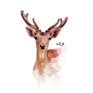 غزاله
