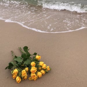 شوش فلاورز