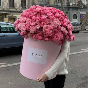 بلوقر ميساء
