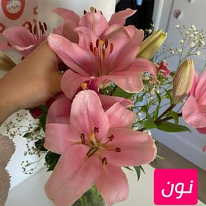 نون الشرقية