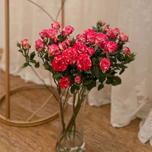 رحاب ال عمار