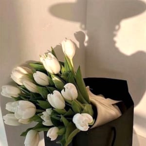 ريم محمد