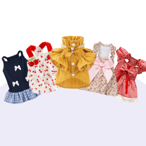 أوتفيت قِطه