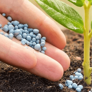 سماد | Fertilizer