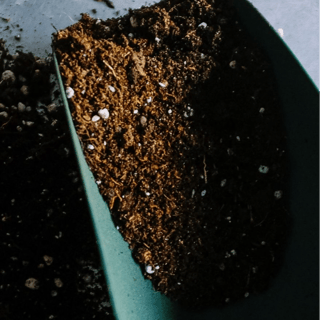 تربة | Soil
