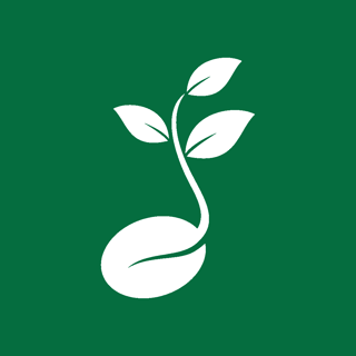 بذور