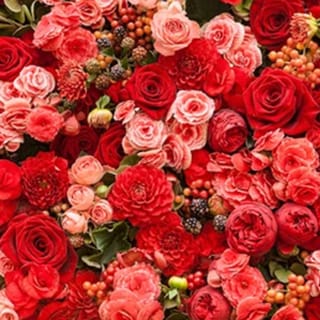 ورد وفواكه