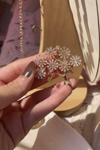 Brooches