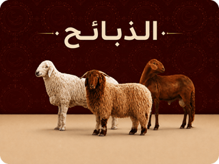 الذبائح