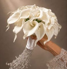 مسكات العرايس