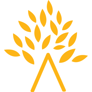 الحجم الصغير