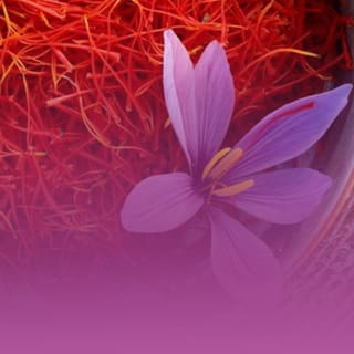 الزعفران