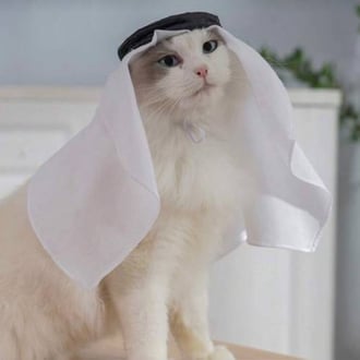 شماغ مع عقال انيق للقطط