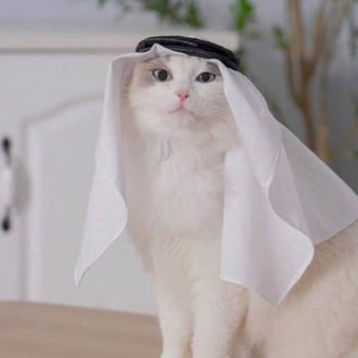 شماغ مع عقال انيق للقطط
