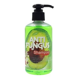  شامبو مضاد للفطريات للقطط من anti fungus 