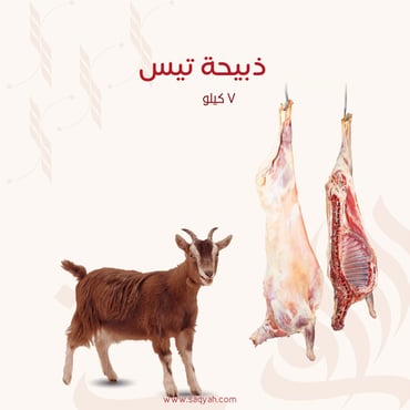 ذبيحة تيس (٧ كيلو)