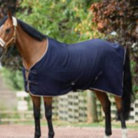أغطية الخيل الجلال