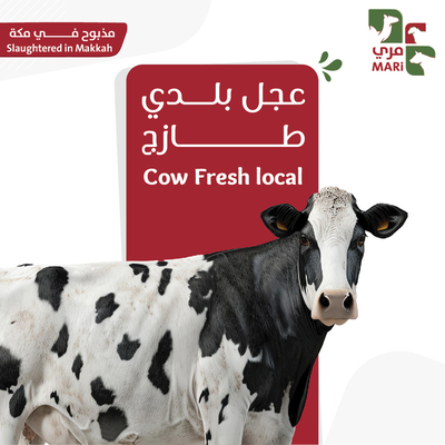 عجل بلدي طازج