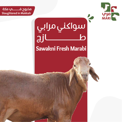 سواكني مرابي طازج