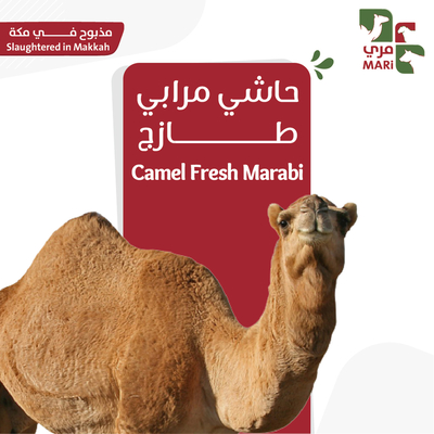 حاشي مرابي طازج