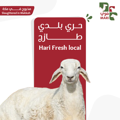 حري بلدي طازج