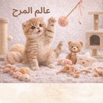 عالم المرح