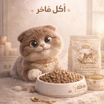 مطبخ منؤشة
